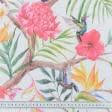 Ткани для тюли - Тюль  с утяжелителем тенда колибри цветы/  colibri art