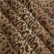 Тканини для верхнього одягу - Хутро штучне леопард