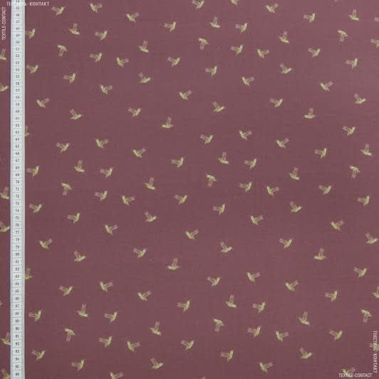 Ткани для детской одежды - Экокоттон колибри оливка, фон тёмно-красный