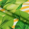 Тканини для штор - Декоративна тканина Калатея листя фон біло-жовтий
