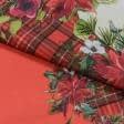 Тканини для римських штор - Декоративна новорічна тканина лонета Пуансетія клітинка купон, червоний