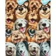 Ткани для полотенец - Ткань полотенечная вафельная набивная смешные собаки