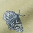 Ткани tk outlet ткани - Декоративная ткань Пиеро бабочки цвет гороховый