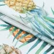 Тканини для декору - Декоративна тканина Коста ріка ананаси листя