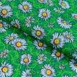 Ткани для сорочек и пижам - Бязь набивная халатная ромашки зеленый