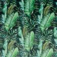 Ткани для мебели - Декоративный велюр принт Листья банана зеленый