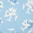 Тканини котон, джинс - Котон стрейч принт білі квіти на блакитному