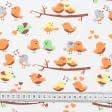 Тканини для сорочок і піжам - Фланель білоземельна дитяча птахи