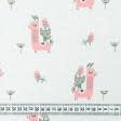 Ткани для сорочек и пижам - Ситец 67-ТКЧ Альпака розовый