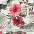 Ткани портьерные ткани - Декоративная ткань  Гибискус /ANNIVERSARY  цвет красный, серый