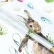 Тканини для портьєр - Декоративна тканина великодні кролики / фон білий
