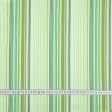 Тканини tk outlet тканини - Котон-сатин CILEGIA принт смужка салатова/бордова/біла/зелена
