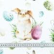 Тканини портьєрні тканини - Декоративна тканина великодні кролики / фон білий