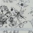 Ткани для портьер - Декоративная ткань лонета Птичий рай /TAP св.фисташка