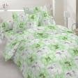 Ткани для постельного белья - Бязь набивная ГОЛД HT зеленая