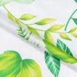 Ткани хлопок смесовой - Бязь набивная ГОЛД DW листья