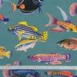 Ткани для маркиз - Дралон принт Вардо /VARDO рыбки цветные фон серо-голубой