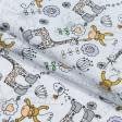 Ткани для детского постельного белья - Бязь набивная голд dw  детская
