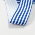 Тканини тасьма - Репсова стрічка Тера смуга середня біла, синя 37мм