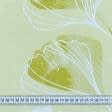 Ткани для постельного белья - Бязь набивная ТКЧ гинко билоба салатовый