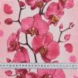 Ткани хлопок - Ткань полотенечная вафельная набивная орхидея