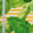Тканини для штор - Декоративна тканина Калатея листя фон біло-жовтий