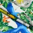 Ткани нубук - Декоративный нубук Петек  БАСКИЛИ/  BASKILI тропические птицы