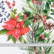 Тканини для столової білизни - Новорічна тканина Пуансетія червоний, зелений Купон