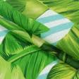 Ткани для штор - Декоративная ткань Калатея листья фон бело-бирюзовый