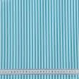 Тканини для скатертин - Декоративна тканина Рустікана смуга вузька колір небесно блакитний
