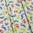 Ткани для детской одежды - Экокоттон  цветные саламандры