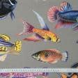 Ткани horeca - Дралон принт Вардо /VARDO рыбки цветные фон темно бежевый