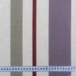 Ткани портьерные ткани - Декоративная ткань Медичи/MEDICI  полоса цвета сирень, бордовая