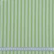 Ткани horeca - Декоративная ткань Рустикана полоса цвет зеленое яблоко