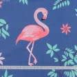 Ткани бязь - Бязь набивная ГОЛД DW фламинго