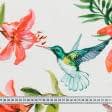 Тканини для меблів - Декоративний нубук Петек Баскілі / BASKILI колібрі, квіти