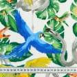 Ткани нубук - Декоративный нубук Петек  БАСКИЛИ/  BASKILI тропические птицы