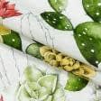 Тканини для декору - Декоративна тканина лонета Квітучі кактуси зелений