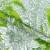 Декоративна тканина лонета парк листя фон яскраво зелений