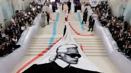 Гучні, елегантні та шалені образи на вечірці Met Gala