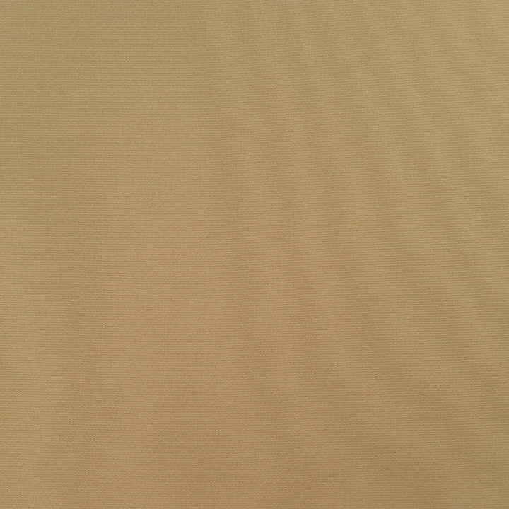 Дралон /LISO PLAIN бежевый