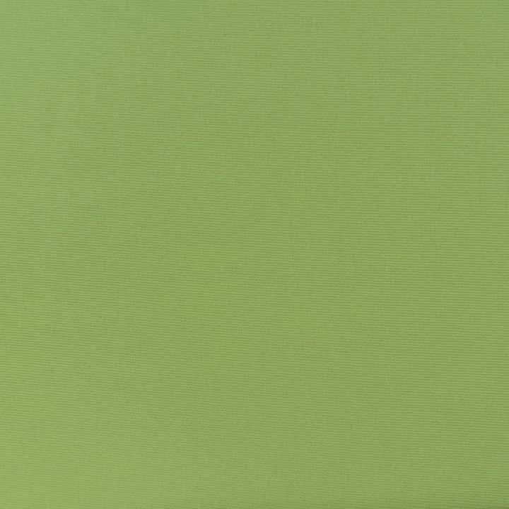 Дралон /LISO PLAIN цвет оливка