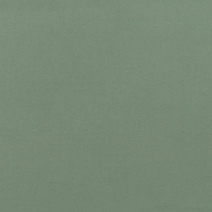 Тканин актуальные цвета по pantone (пантон) - Костюмная Лайкра светлая полынь 3